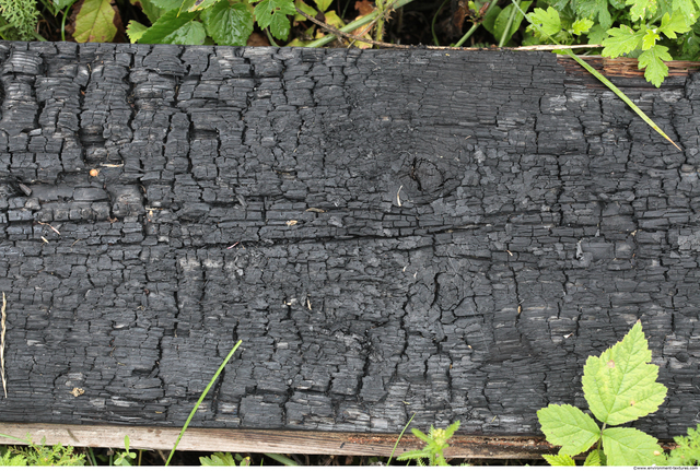 Burned Wood