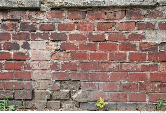 Wall Bricks Damaged