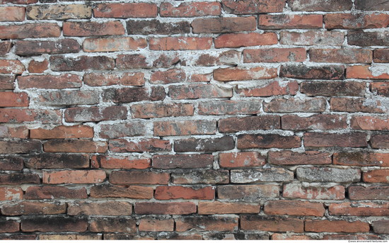 Wall Bricks Old