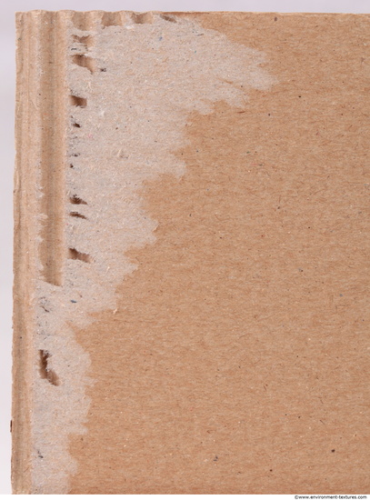 Damaged Cardboard