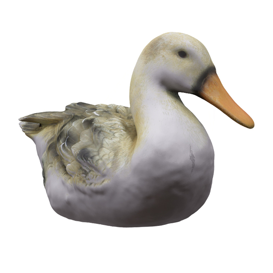 Ceramic duck Base 3D Scan