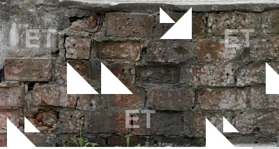 Wall Bricks Damaged