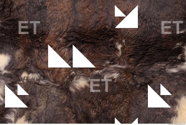 Fur