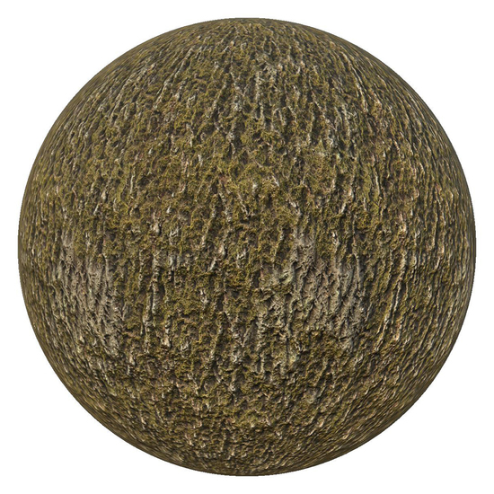 PBR texture wood tree bark