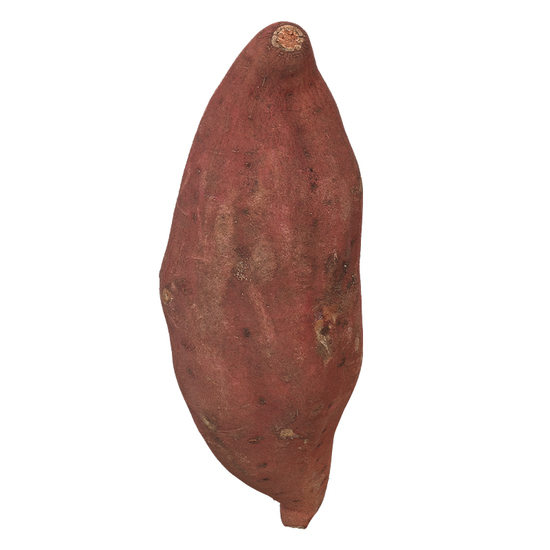 Sweet Potato 3D Scan Retopo