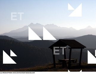 Photo Textures of Background Forest