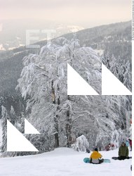 Photo Textures of Background Nature Winter