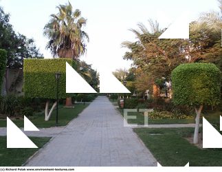 Photo Textures of Background Garden