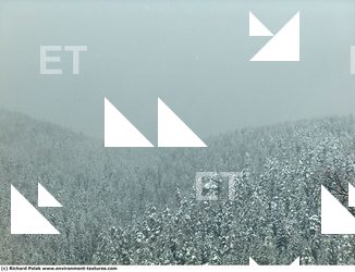 Photo Textures of Background Nature Winter