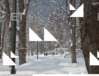 Photo Textures of Background Nature Winter