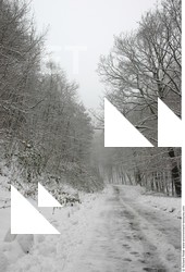 Photo Textures of Winter Nature