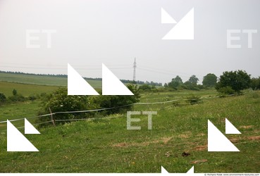 Photo Textures of Background Nature Summer