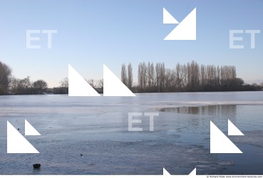 Photo Textures of Background Nature Winter