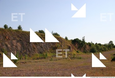 Photo Textures of Background Nature Summer