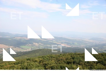 Photo Textures of Background Nature