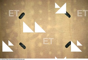 Photo Textures of Cardboard Box