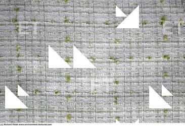 Photo Textures of Fabric Patterned