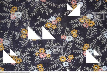Photo Textures of Fabric Patterned