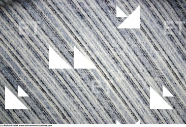 Photo Textures of Fabric Patterned