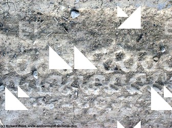 Photo Textures of Grounds