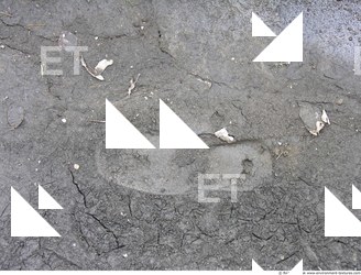 Photo of Mixed Textures