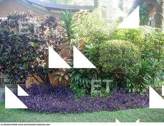 Photo Textures of Plants