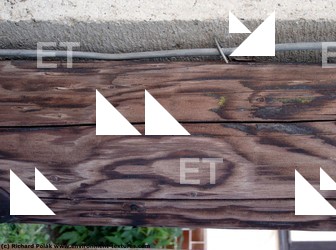 Photo Textures of Wood Bare