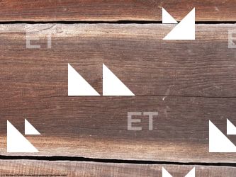 Photo Textures of Wood Bare