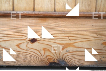 Photo Texture of Wood Bare