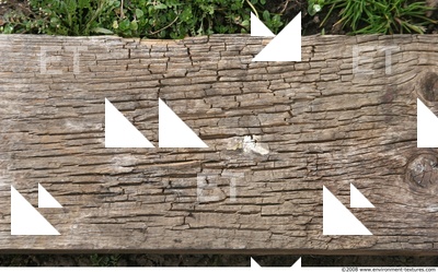 Photo Textures of Wood Bare