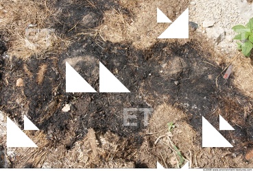 Ground Various