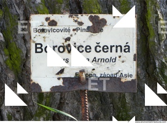 Signs Various