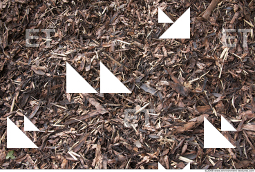 Ground Various