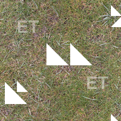 Seamless Grass