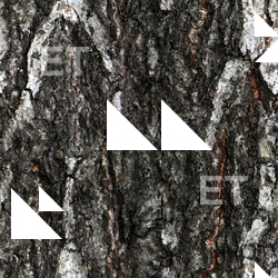 Seamless Bark