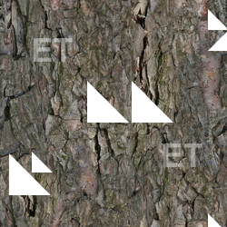 Seamless Bark