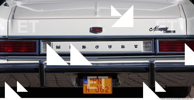 Photo Reference of Veteran