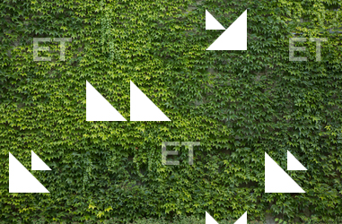 Photo Textures of Nature