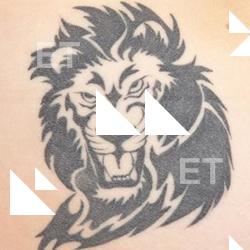 Photo Textures of Human Skin