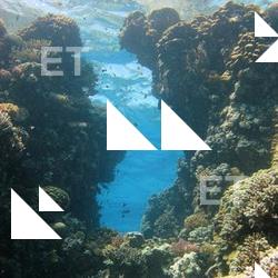 Photo Textures of Underwater World