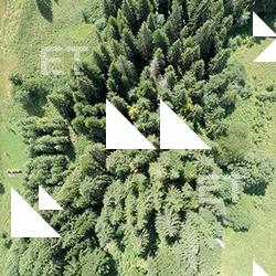 Photo Textures of View from Above