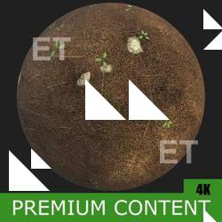 PBR Substance Material of Ground Forest #2