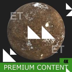 PBR Substance Material of Ground Forest Snowy