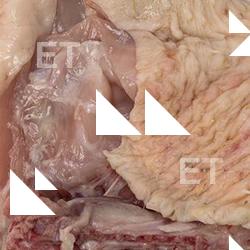 Photo Textures of Chicken Thighs Meat