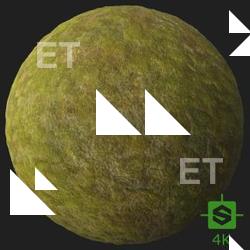 PBR Texture of Moss