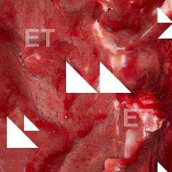 Photo Textures of Beef Meat