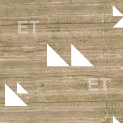 Photo Textures of Field 