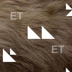 Photo Textures of Fur Deer