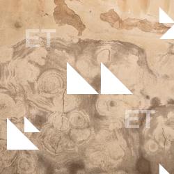 Photo Textures of Wall Plaster