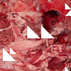 Photo Textures of RAW Pork Meat